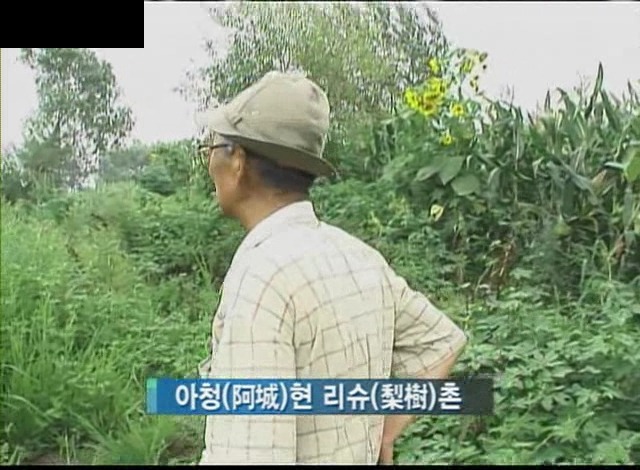 [KBS스페셜] 731부대 한국인 희생자들 (생전 사진은 처음봐요 ㅠㅠ) | 인스티즈