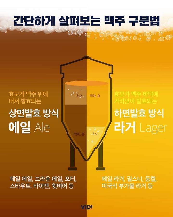 맥주 종류별 안주 추천 | 인스티즈