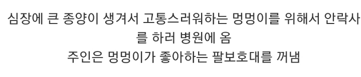 눈물 주의) 안락사 직전 주인과 함께하는 댕댕이.gif | 인스티즈