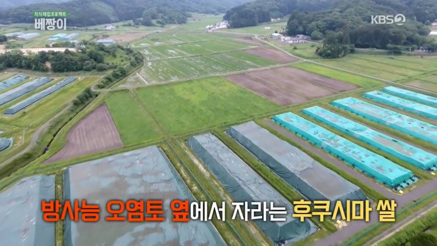 방사능 오염토를 집 앞에 쌓아놓고 살아가고 있는 일본 | 인스티즈