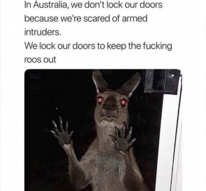 호주에서 잘때 무조건 모든 문을 닫고 자야 되는 이유 | 인스티즈