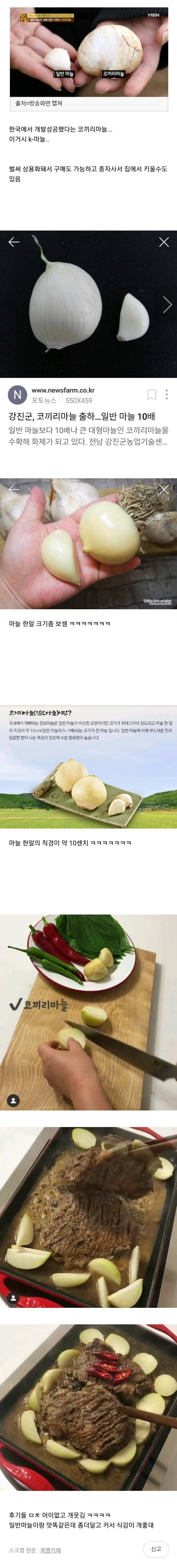 갈때까지간 한국의 마늘 ㅎㄷㄷ | 인스티즈