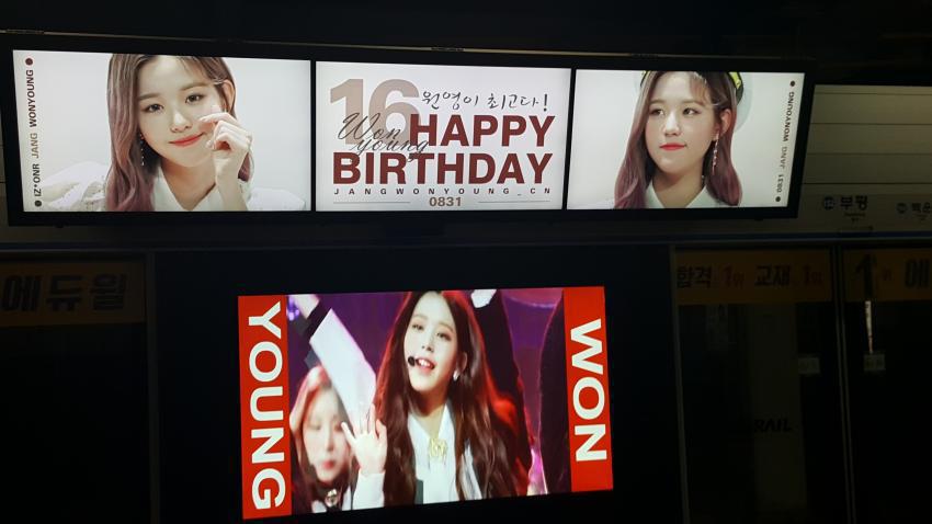 장원영으로 도배된 수도권 지하철역 15개 | 인스티즈