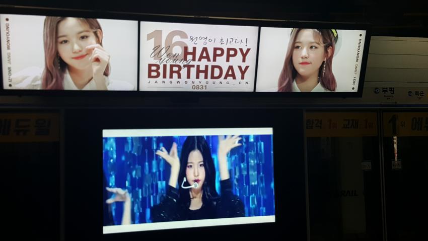 장원영으로 도배된 수도권 지하철역 15개 | 인스티즈