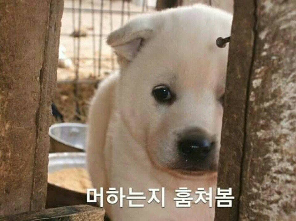 피시방 옆자리 특징.jpg | 인스티즈