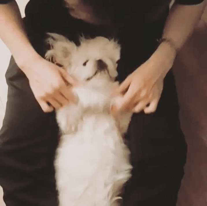 믹스나인 산골 아이돌 근황.jpgif | 인스티즈