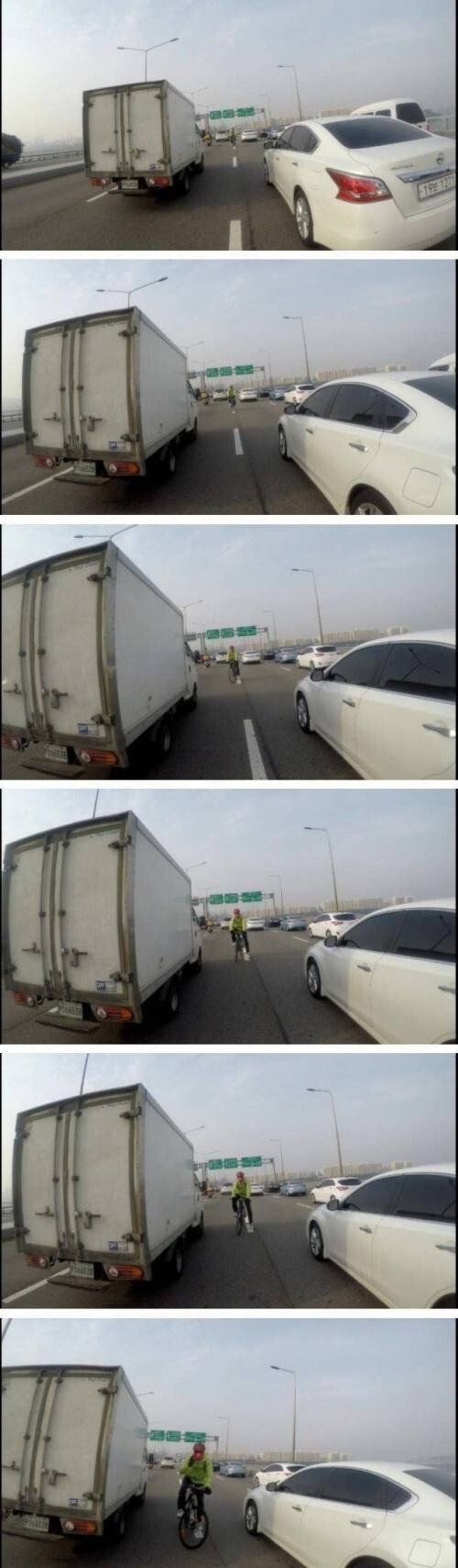 성수대교 자라니 | 인스티즈