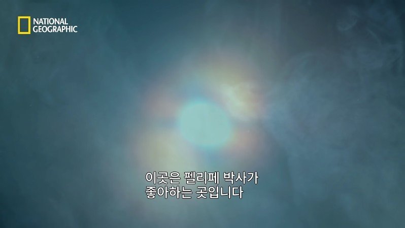 댈롤 화산: 지옥과 같은 이곳에 사는 단 하나의 생명체 | 인스티즈