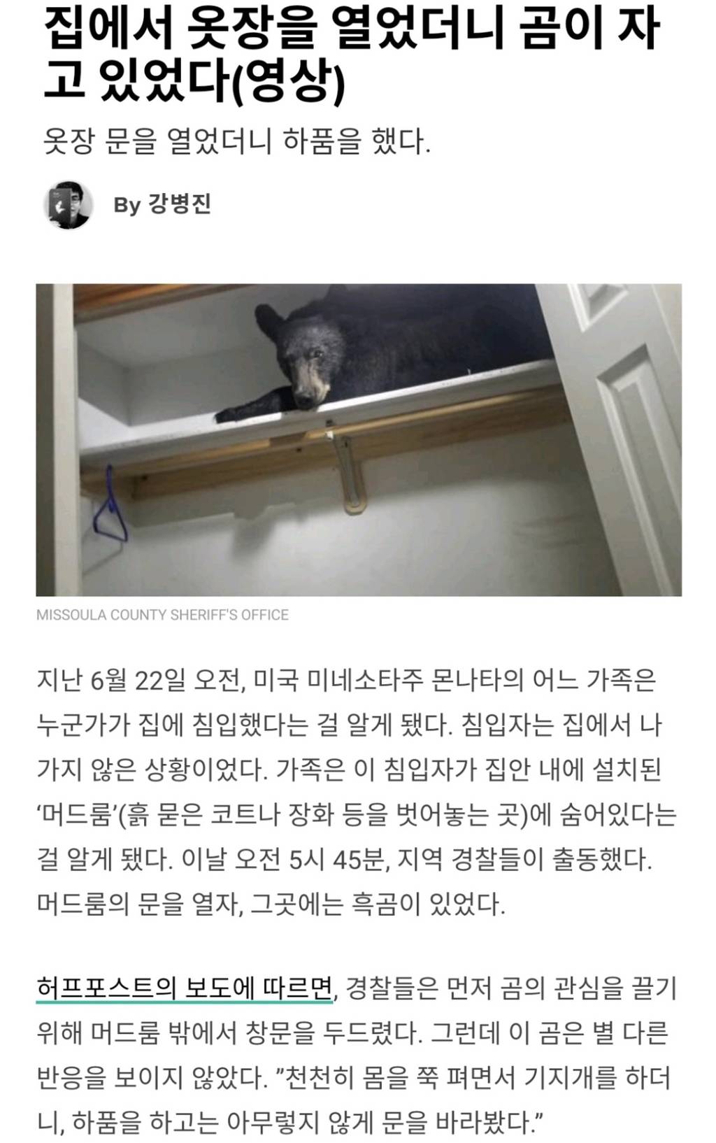 집에서 옷장을 열었더니 곰이 자고 있었다.jpgif | 인스티즈