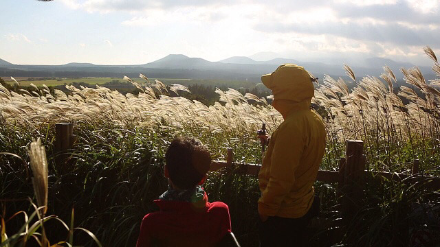 눈이 보이지 않는 사람과 눈만 보이는 사람 | 인스티즈