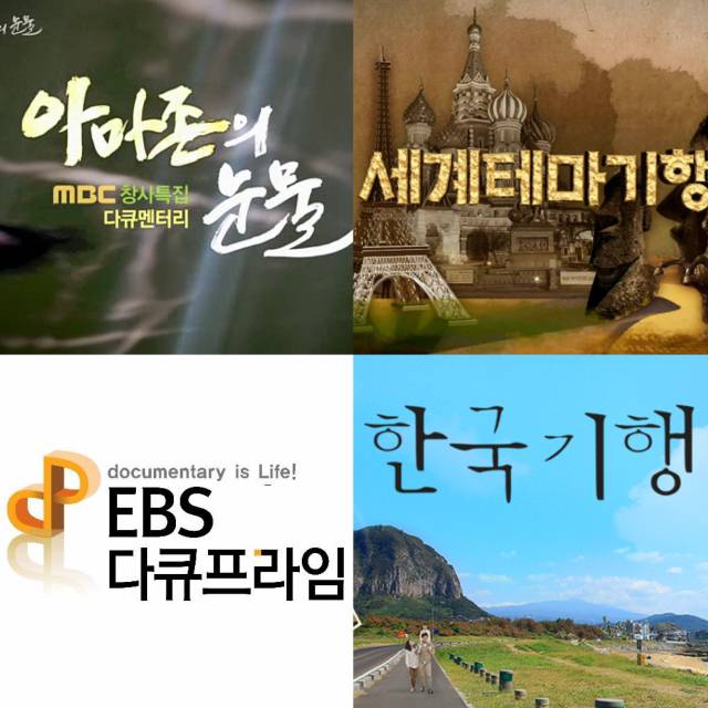 자신의 최애 TV 프로그램 유형은? | 인스티즈