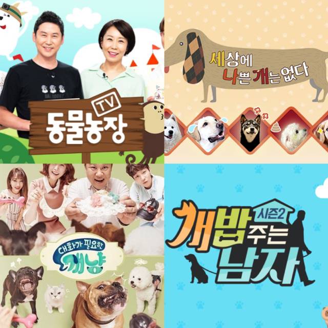 자신의 최애 TV 프로그램 유형은? | 인스티즈