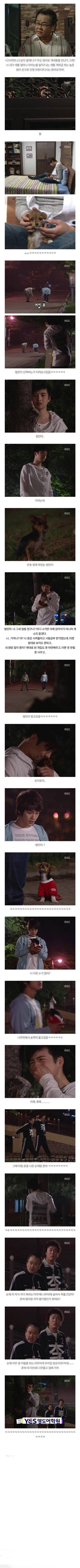 거침없이 하이킥 범민 강아지 레전드.jpg | 인스티즈