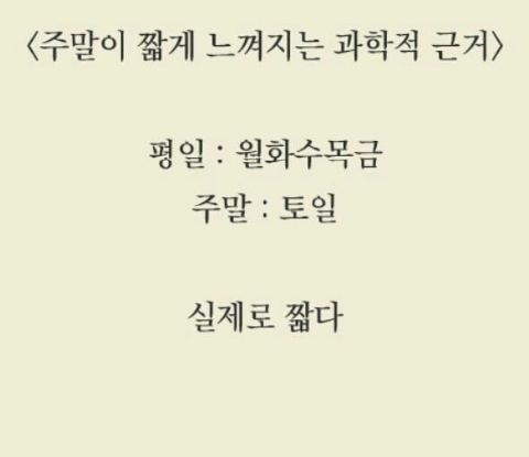 주말이 짧게 느껴지는 진짜 이유 | 인스티즈