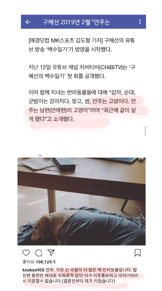 구혜선 안재현네 고양이는 원래 안재현네 고양이.jpg | 인스티즈