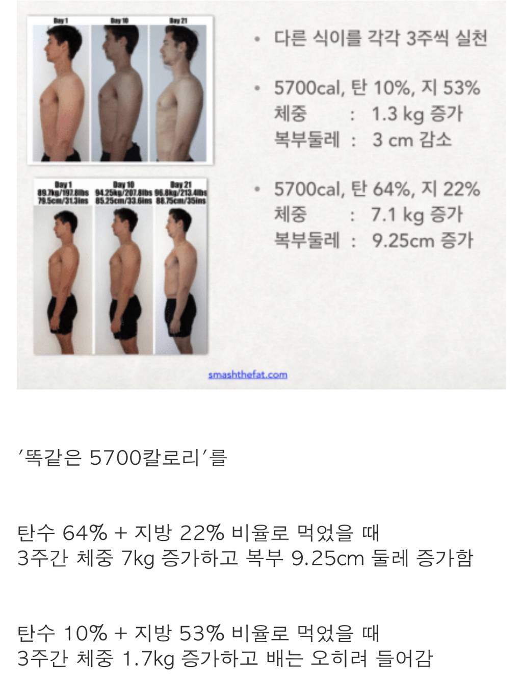 똑같은 칼로리를 탄수화물 10％ 비율과 64％ 비율로 먹었을때 살찌는 속도.jpg | 인스티즈