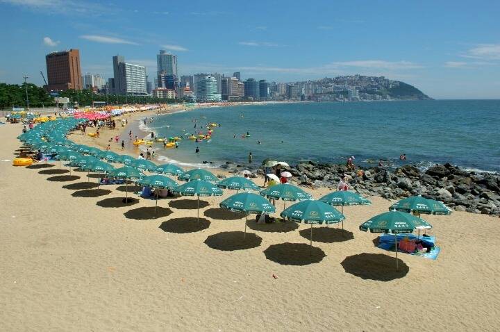 막상 가니까 그리워지려고 하는 녀석... | 인스티즈