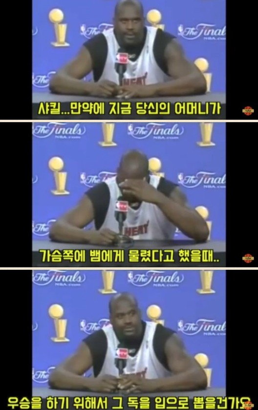 기자들의 패드립 고인드립 섹드립 모음 | 인스티즈