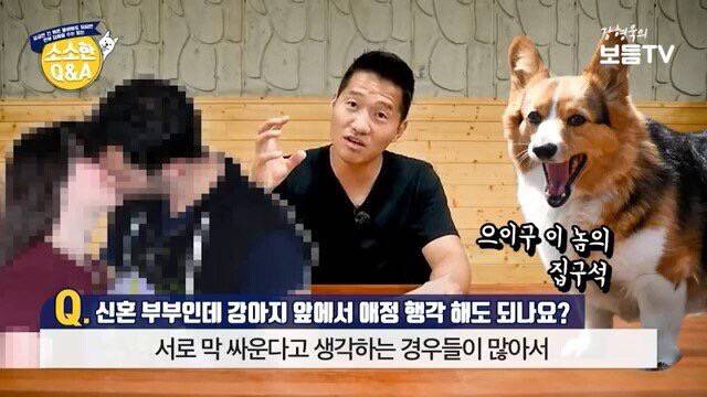 강아지 앞에서 애정행각 해도 되는지 | 인스티즈