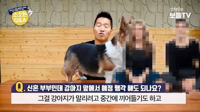 강아지 앞에서 애정행각 해도 되는지 | 인스티즈