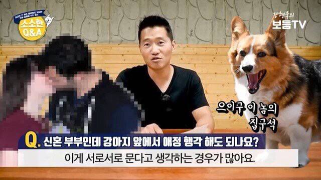 강아지 앞에서 애정행각 해도 되는지 | 인스티즈