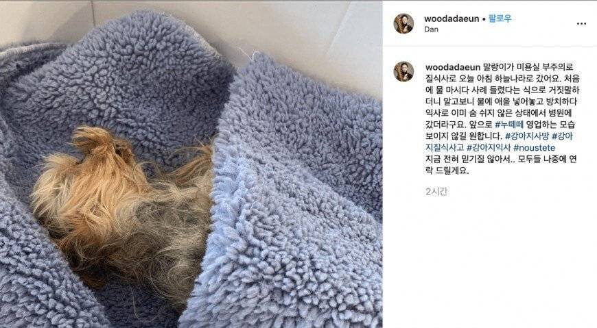 손님 강아지 익사시킨 애견샵.jpg | 인스티즈