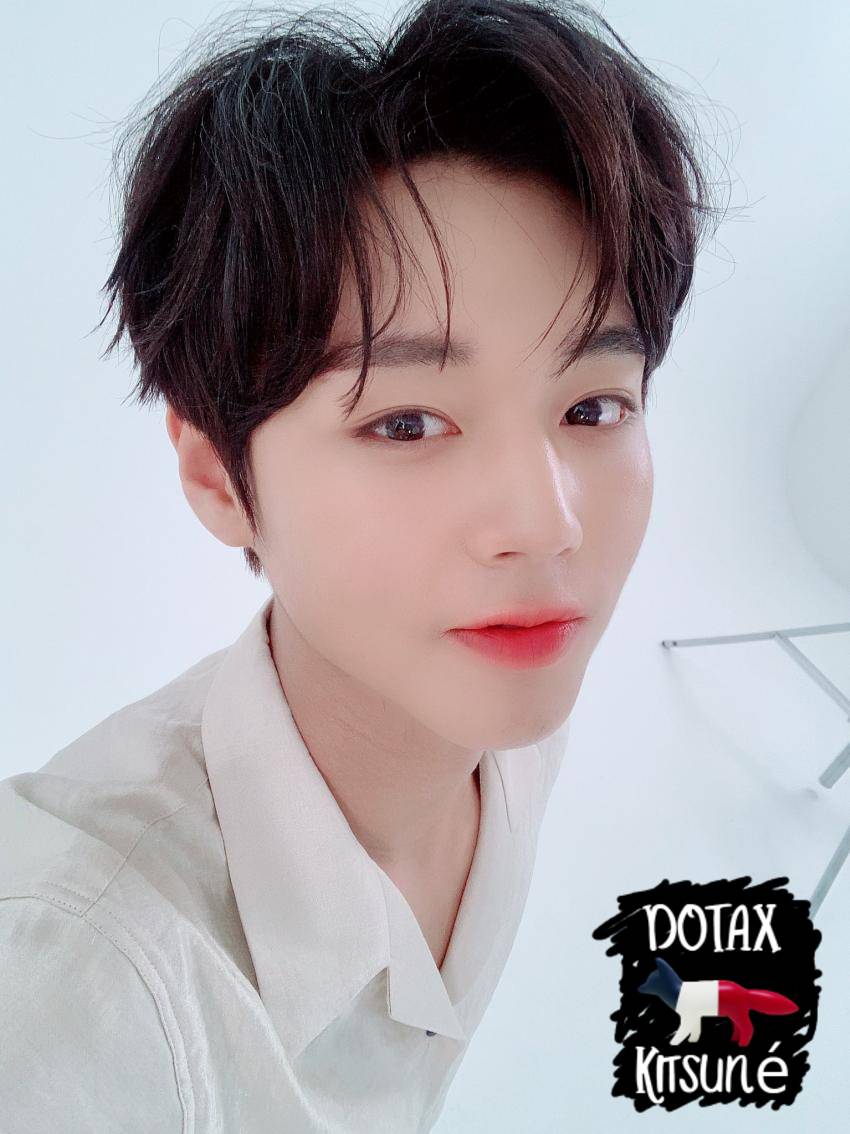 고양이가 여름 나는법 (비닐터널) | 인스티즈