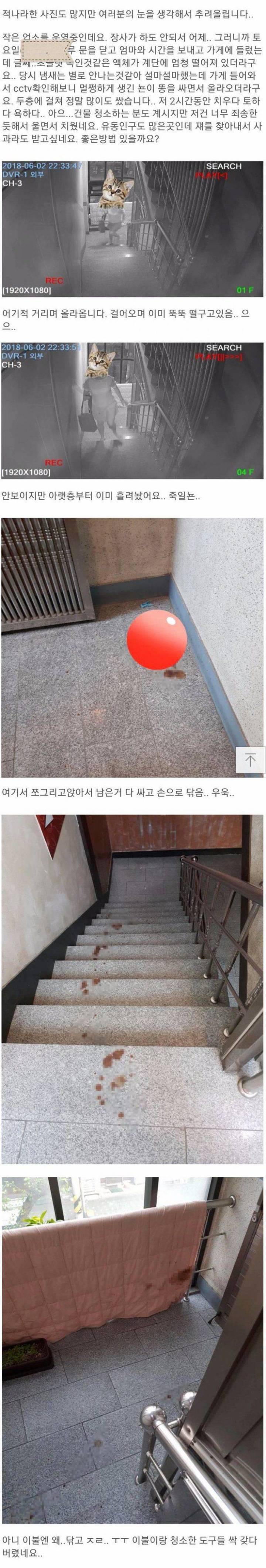 공포의 응가빌런.jpg (혐오주의) | 인스티즈