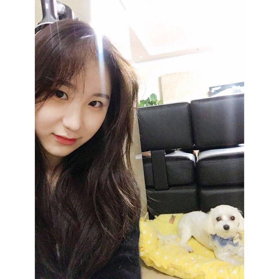 자기랑 닮은 강아지 키우는 아이즈원 | 인스티즈