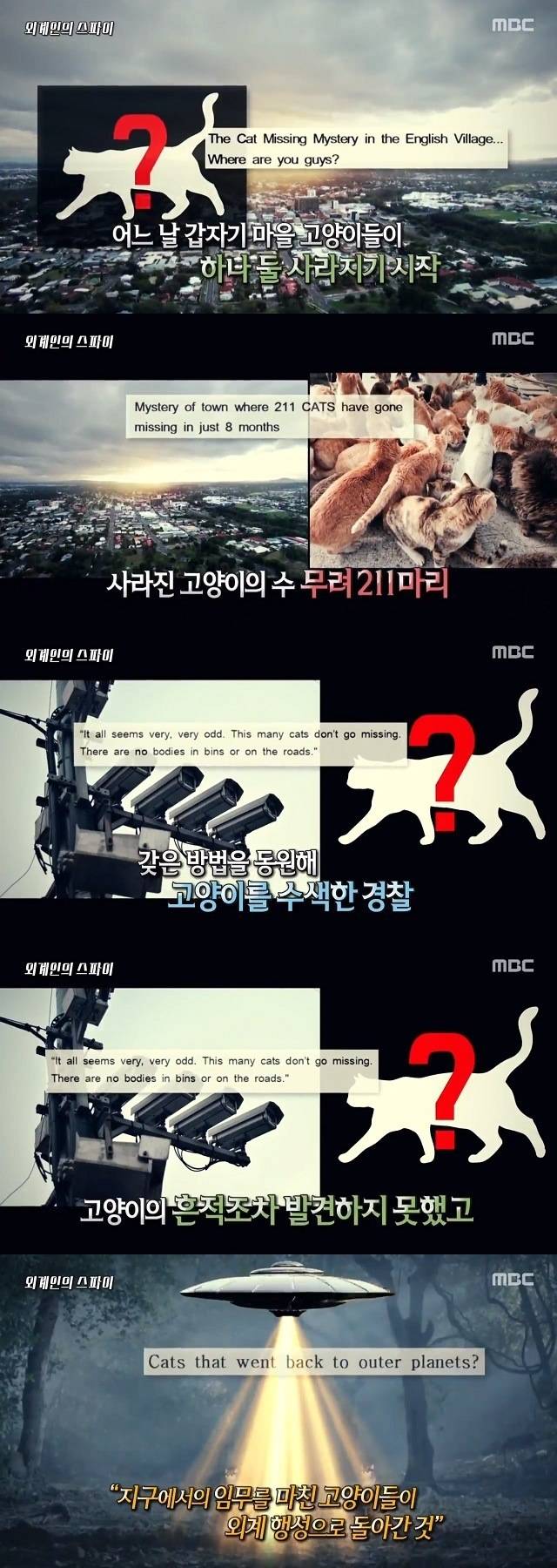 고양이 절대 키우면 안되는 이유 ㄷㄷ | 인스티즈