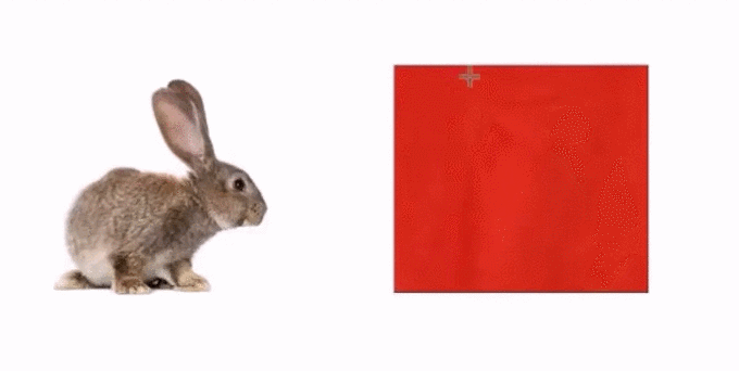 토끼가 사라지는 마술.gif | 인스티즈