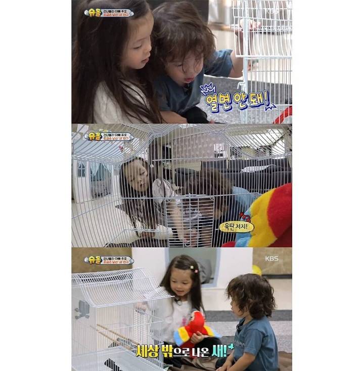 말하는 새가 신기한 건후 | 인스티즈