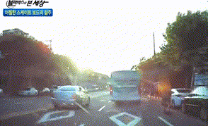 신종 고라니 등장 gif | 인스티즈