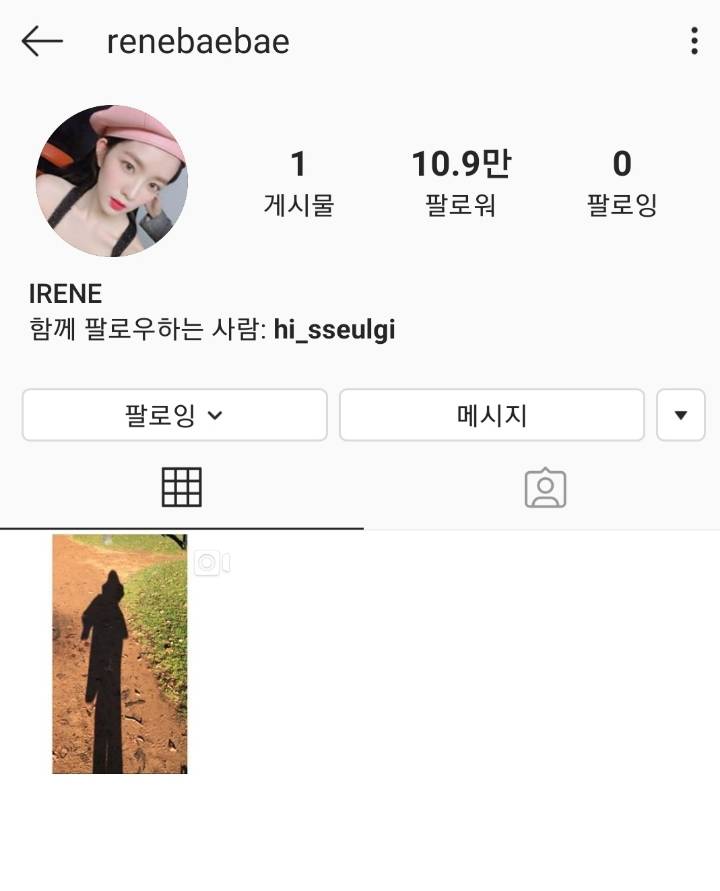 드디어 다시 복구 된 레드벨벳 아이린 개인 인스타 계정.renebaebae | 인스티즈