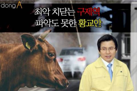 현재 대한민국 돼지 열병 근황 ㄷ ㄷ ㄷ | 인스티즈
