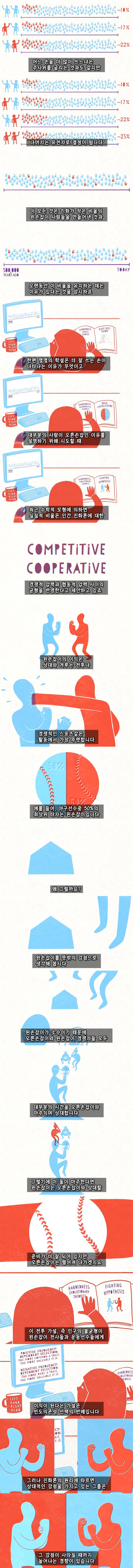 왼손잡이가 소수인 이유 | 인스티즈