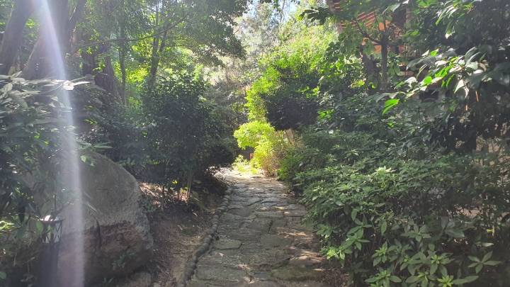 부산 데이트코스 고즈넉한 분위기의 정원이 있는 한정식집 | 인스티즈