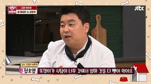 댕댕이 식탐 물어봤다가 뼈 맞음.jpg | 인스티즈