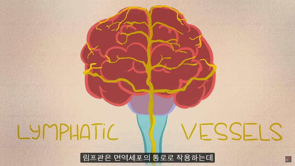 잠을 자지않는다면 우리몸에 어떠한 변화가 일어날까?.JPG | 인스티즈