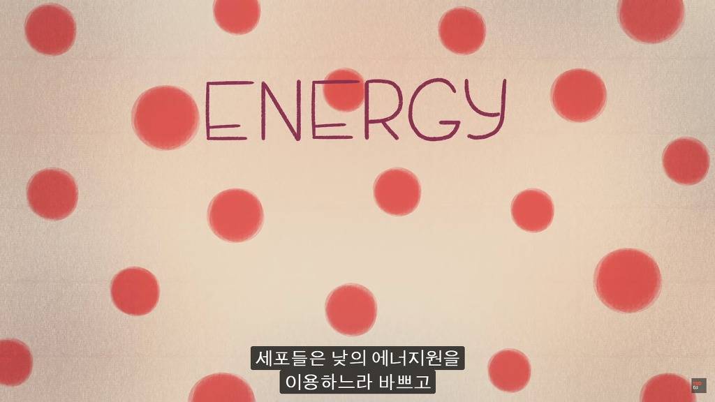 잠을 자지않는다면 우리몸에 어떠한 변화가 일어날까?.JPG | 인스티즈