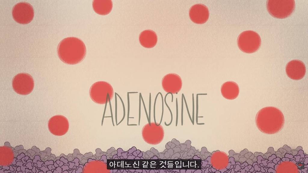 잠을 자지않는다면 우리몸에 어떠한 변화가 일어날까?.JPG | 인스티즈