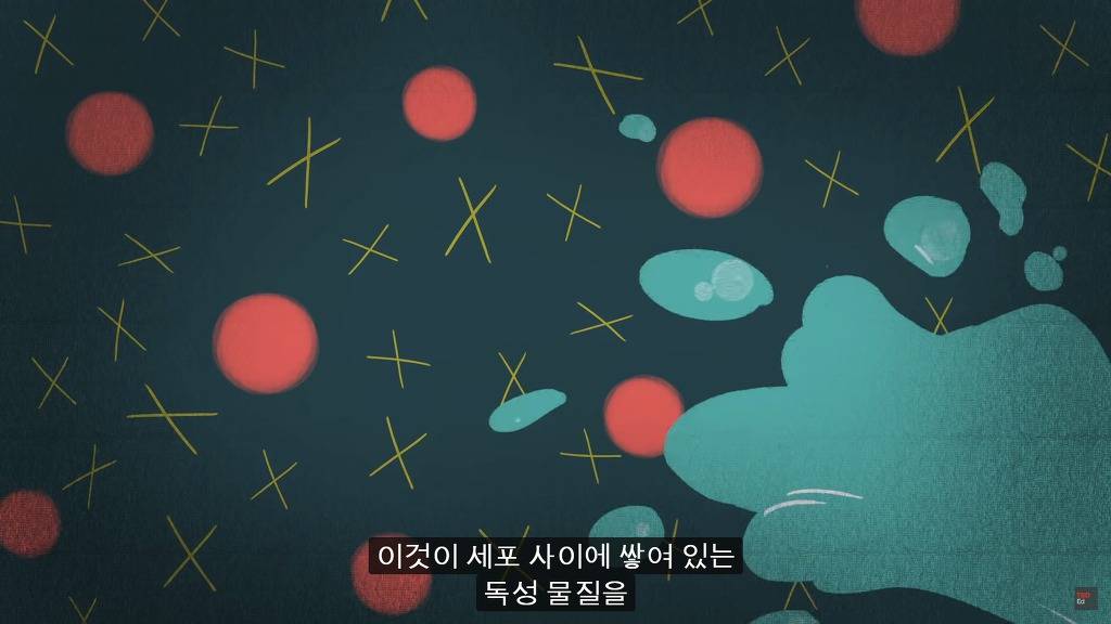 잠을 자지않는다면 우리몸에 어떠한 변화가 일어날까?.JPG | 인스티즈