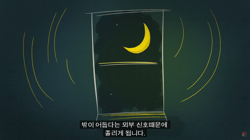 잠을 자지않는다면 우리몸에 어떠한 변화가 일어날까?.JPG | 인스티즈