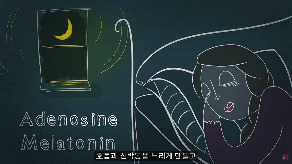 잠을 자지않는다면 우리몸에 어떠한 변화가 일어날까?.JPG | 인스티즈