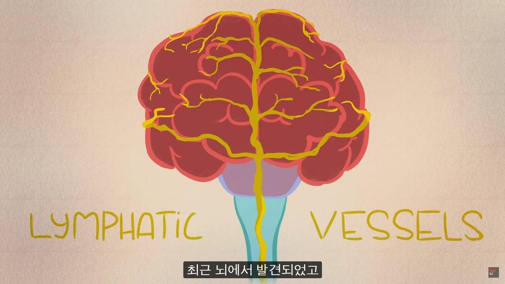 잠을 자지않는다면 우리몸에 어떠한 변화가 일어날까?.JPG | 인스티즈