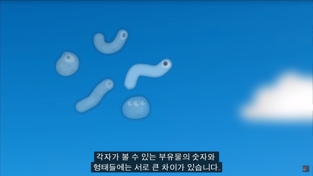 여러분의 눈에 둥둥 떠다니는 그것들은 무엇일까요? | 인스티즈