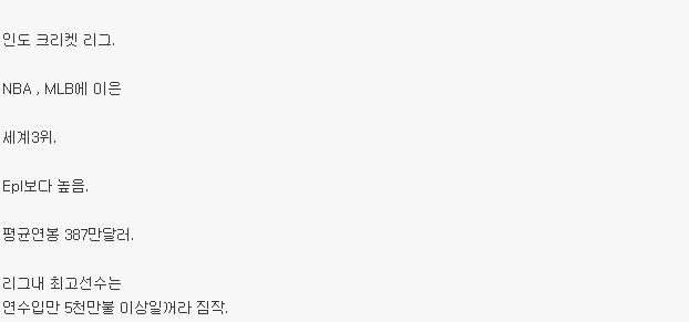 인도 현지에서 크리켓 인기 .jpg | 인스티즈