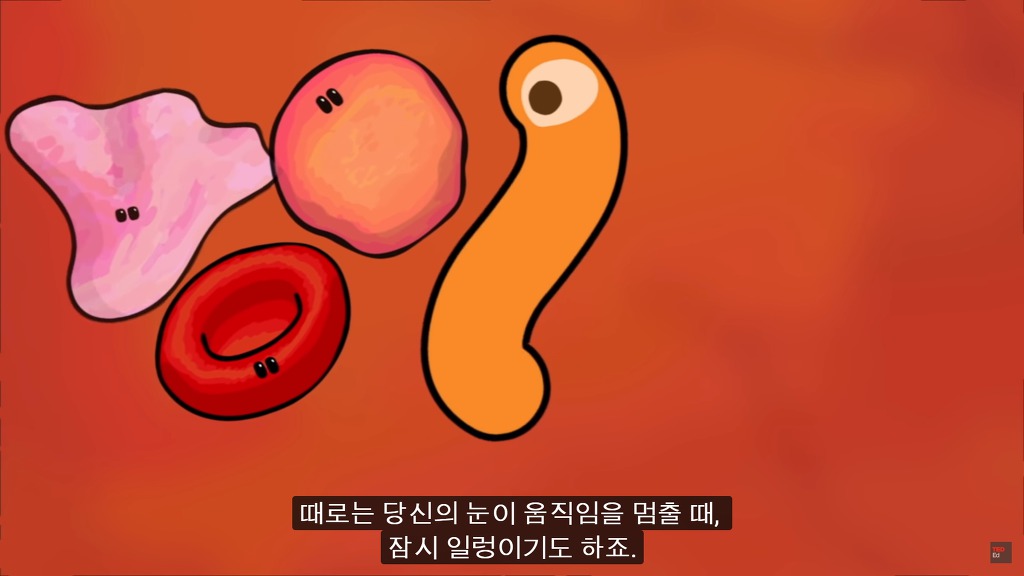 여러분의 눈에 둥둥 떠다니는 그것들은 무엇일까요? | 인스티즈