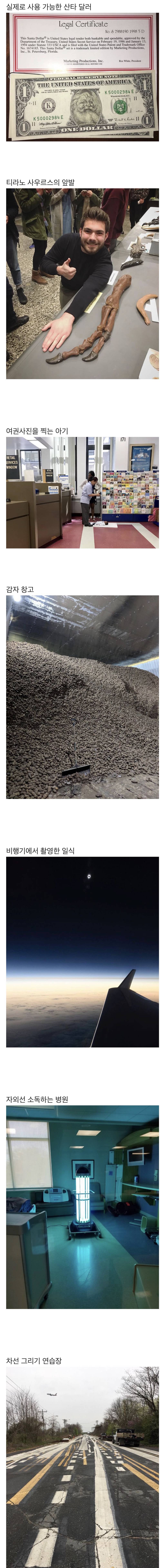 평소에 보기 힘든 사진들.jpg | 인스티즈