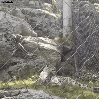 아기를 아빠한테 맡기면 안되는 이유.gif | 인스티즈